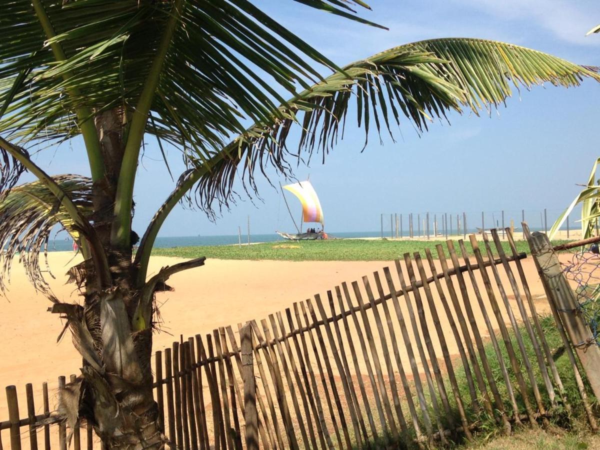 Tms Beach House نيجومبو المظهر الخارجي الصورة